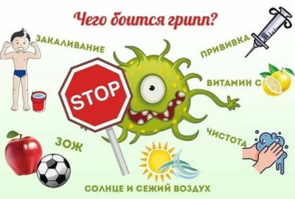 Изображения.